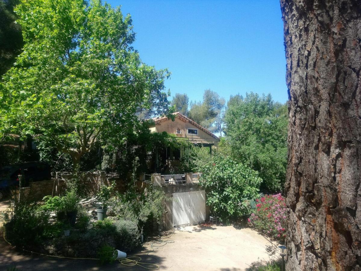 Maison De Charme Avec Piscine Et Jacuzzi Dans Cadre Exceptionnel Proche Marseille Mirabeau Kültér fotó