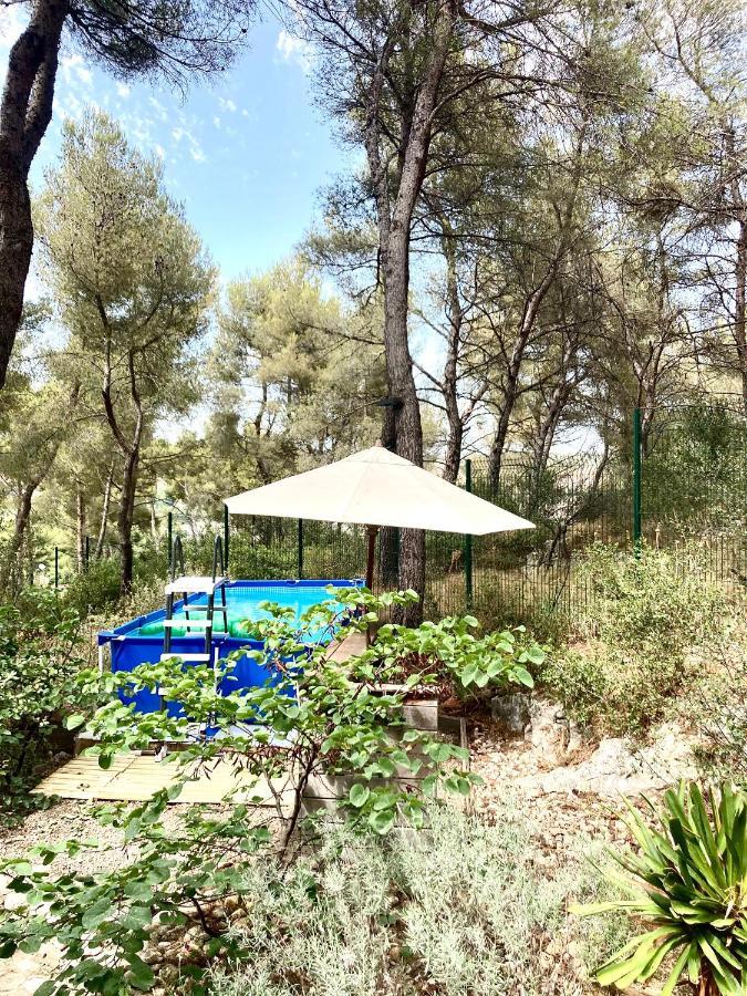 Maison De Charme Avec Piscine Et Jacuzzi Dans Cadre Exceptionnel Proche Marseille Mirabeau Kültér fotó